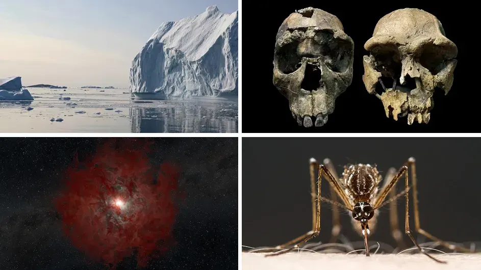 What Were Some of the Top Scientific Research Findings of the Past Academic Year?