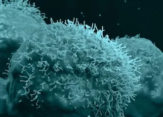 Columbia Initiative in Cell Engineering and Therapy
