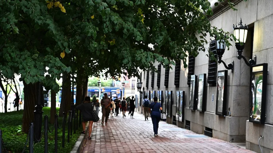 College Walk